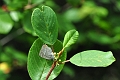 26 07 14_6699_edited-1